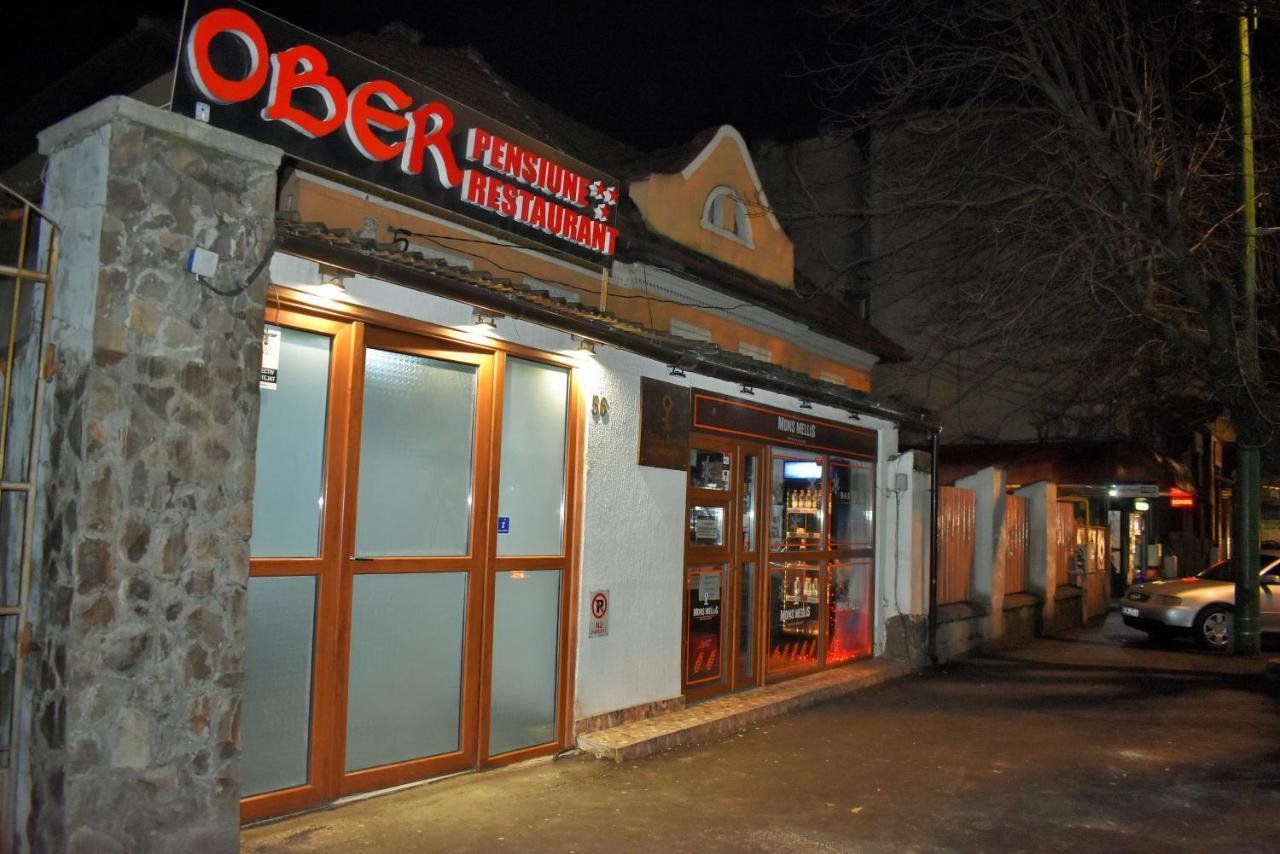 Pensiunea Casa Ober Affittacamere *